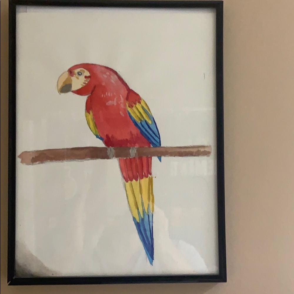 A Cartoony parrot ( looks great on plain walls )